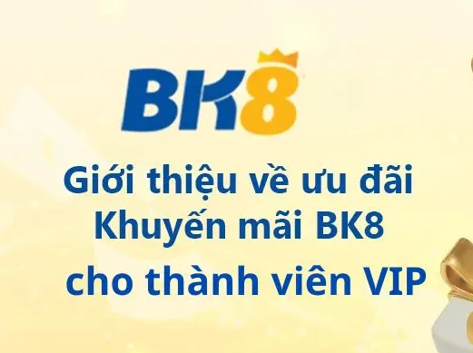 Những ưu đãi dành riêng cho thành viên VIP BK8